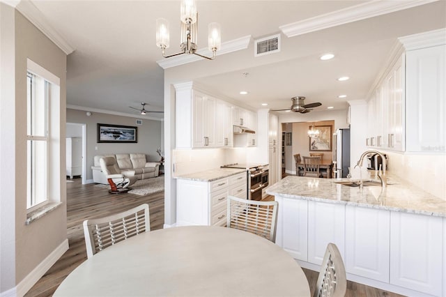 kitchen featuring a sink, stainless steel appliances, ceiling fan with notable chandelier, and visible vents