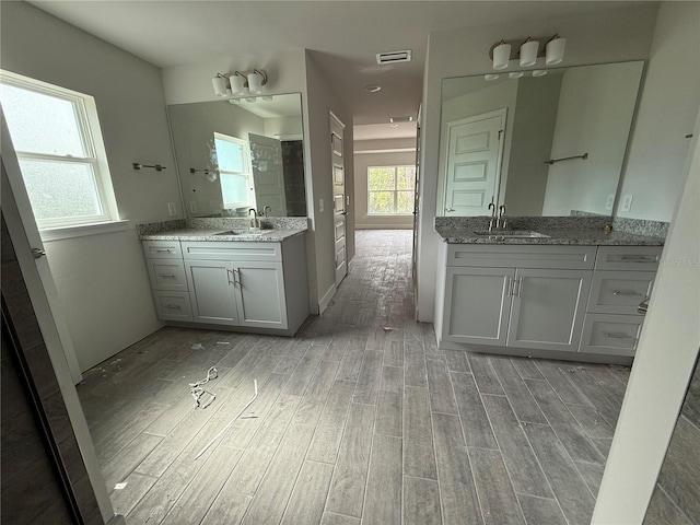 bathroom with vanity, a healthy amount of sunlight, and hardwood / wood-style floors