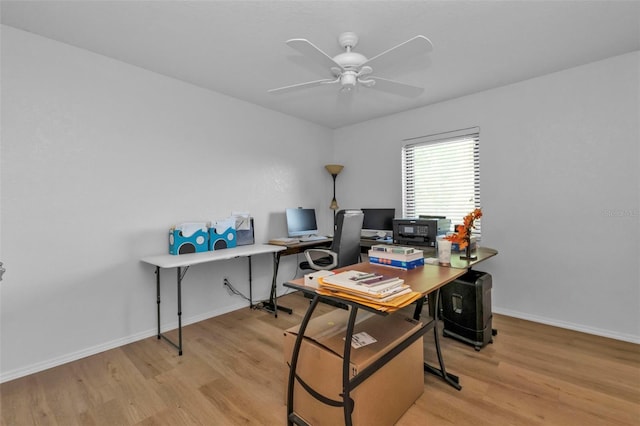 office space with ceiling fan and light hardwood / wood-style floors