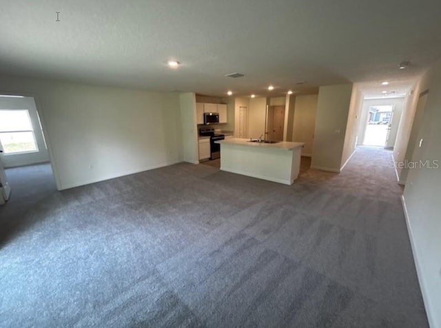 interior space featuring carpet and sink