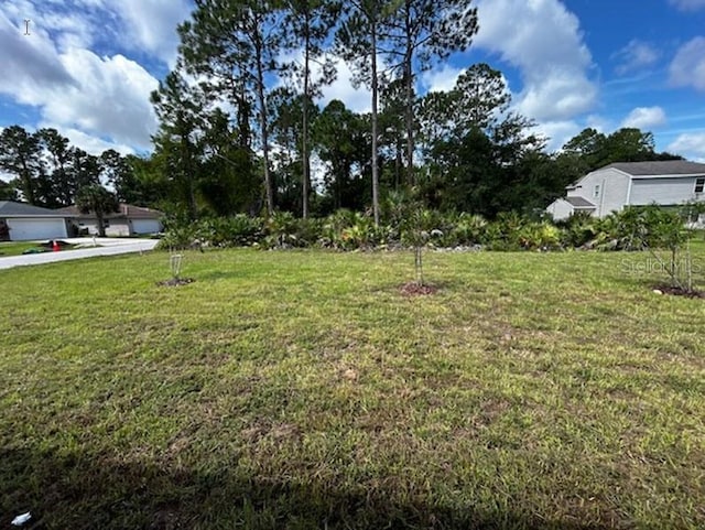 view of yard featuring a garage