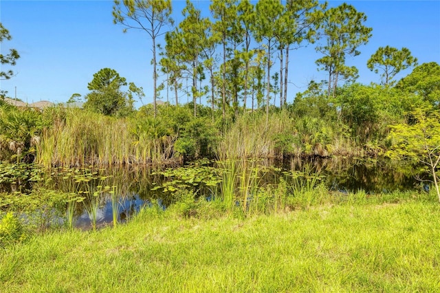 view of nature featuring a water view