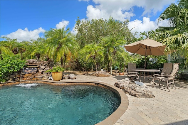 view of pool featuring a patio and pool water feature