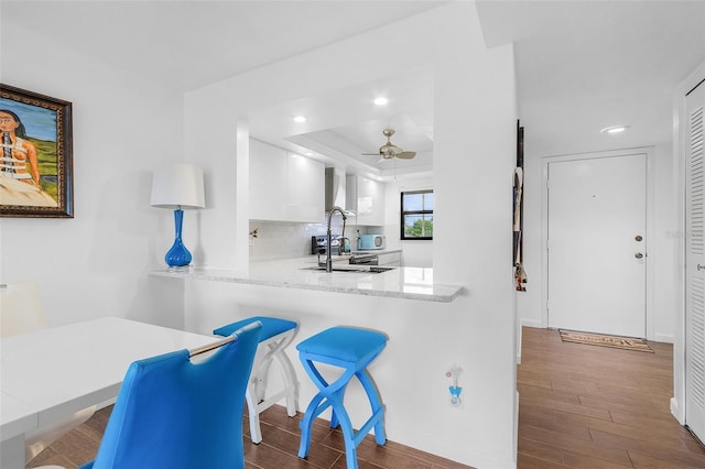 kitchen featuring light countertops, a tray ceiling, wood finished floors, and white cabinetry