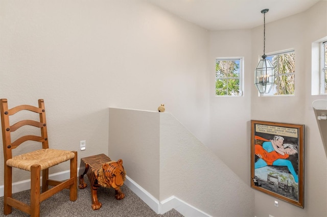 sitting room featuring carpet floors