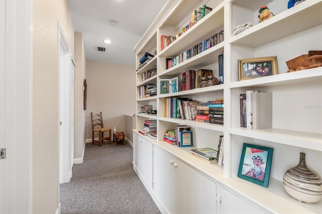 hallway featuring carpet floors