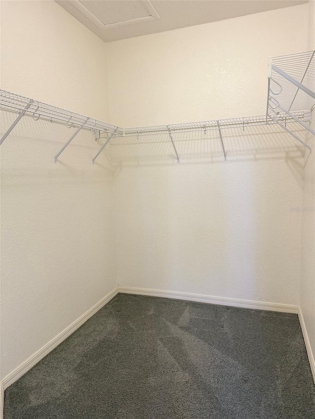 spacious closet featuring dark carpet