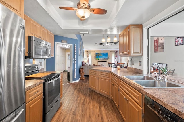 kitchen with a tray ceiling, sink, appliances with stainless steel finishes, hardwood / wood-style floors, and ceiling fan