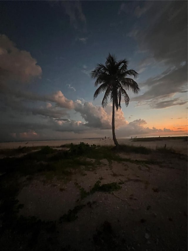 view of nature at dusk