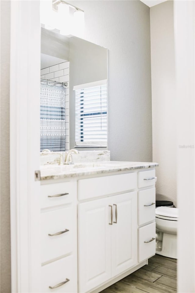 bathroom featuring vanity, toilet, and hardwood / wood-style flooring