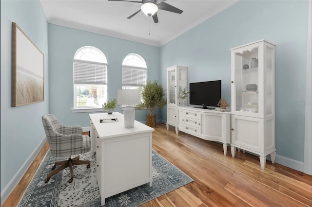 office area featuring ceiling fan and light wood-type flooring