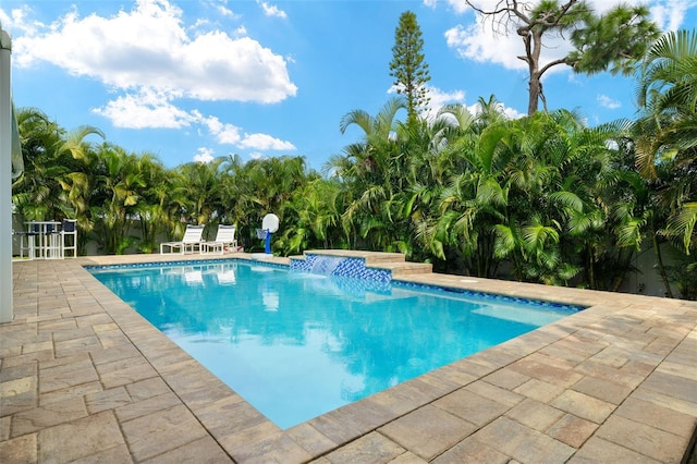 view of pool featuring a patio