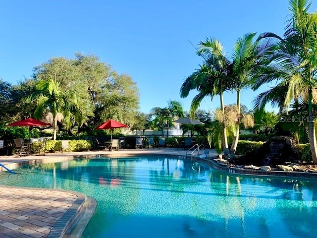 view of swimming pool featuring a patio area