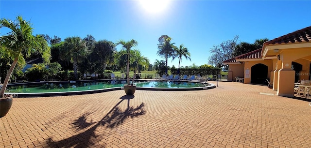 view of pool with a patio area