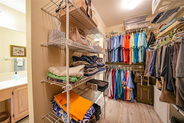 walk in closet with light hardwood / wood-style flooring