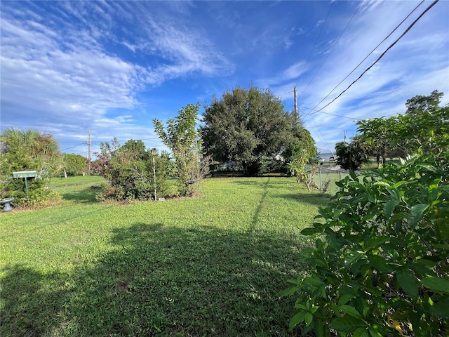 view of yard