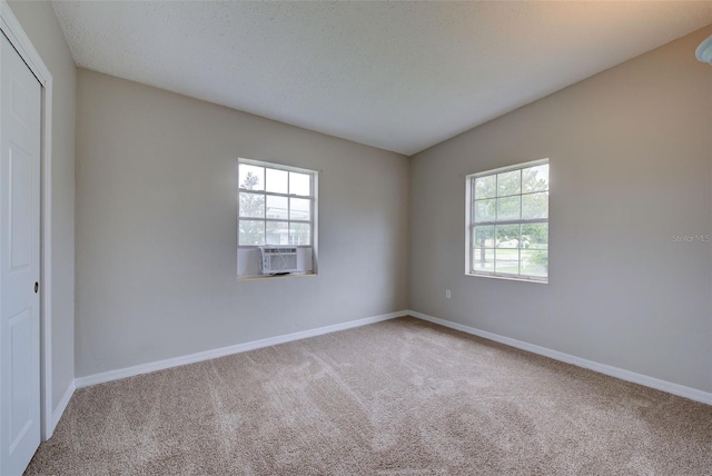 interior space featuring multiple windows, carpet flooring, and a closet