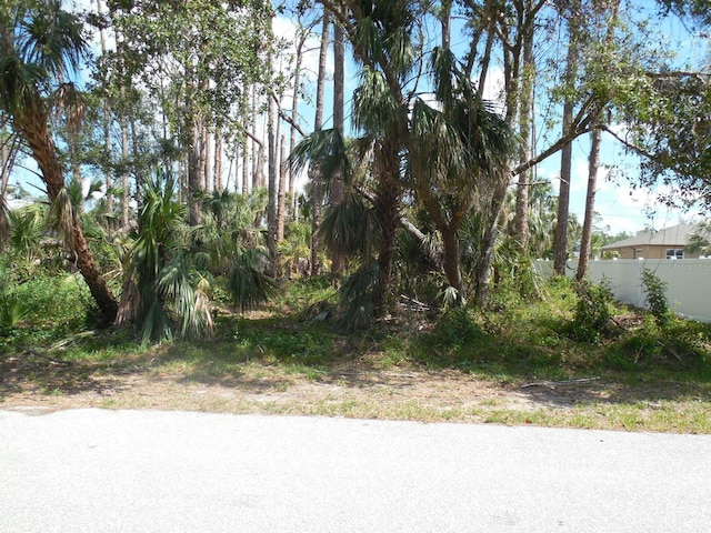 17112 Eugene Ave, Port Charlotte FL, 33954 land for sale