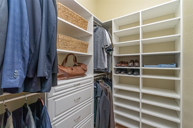 view of spacious closet