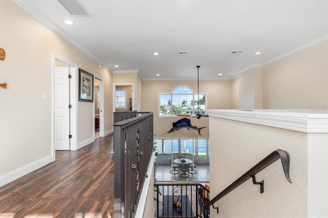 hall with crown molding and dark hardwood / wood-style floors