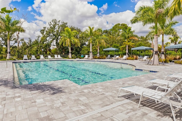 view of swimming pool featuring a patio