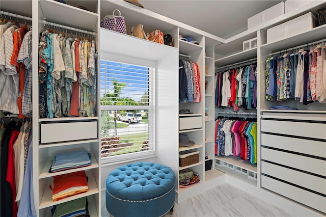 view of walk in closet