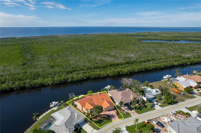 drone / aerial view with a water view