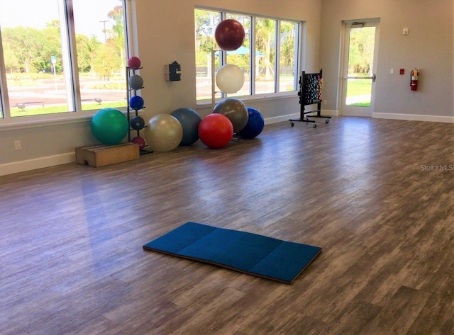 workout area featuring dark wood-type flooring