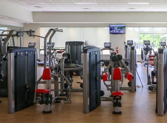 gym with wood-type flooring