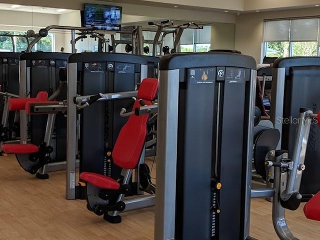 exercise room featuring hardwood / wood-style floors