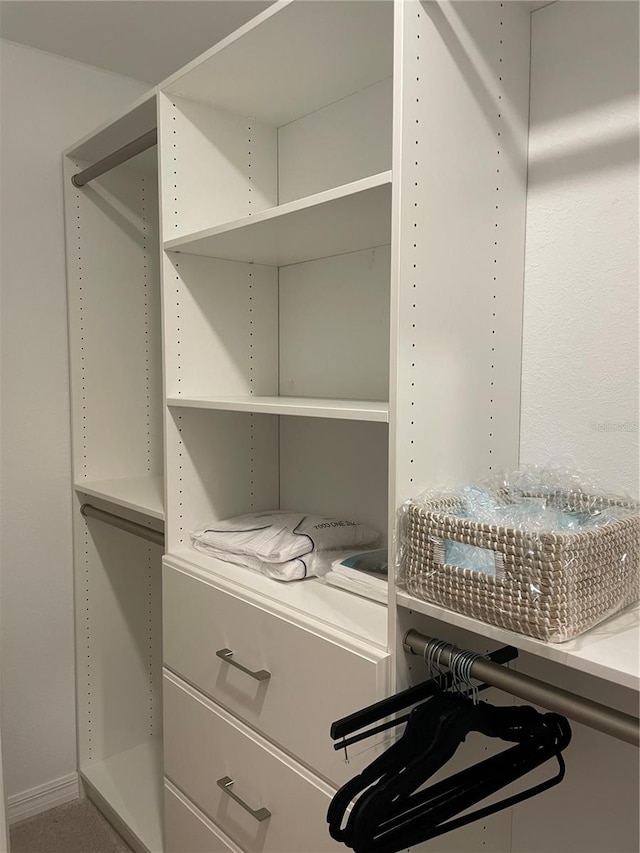 view of spacious closet