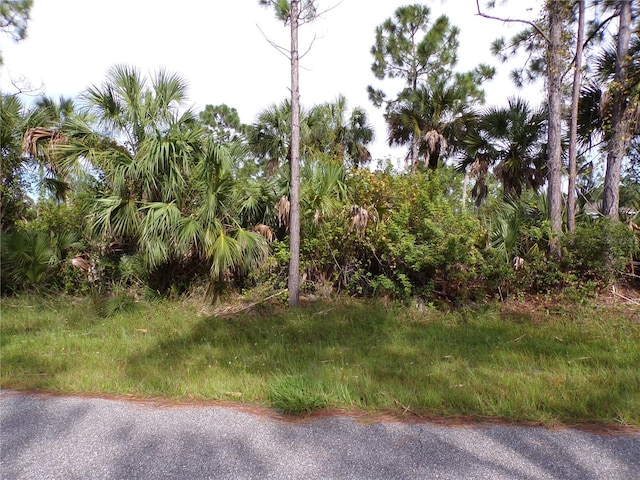 3206 Callisto St, Port Charlotte FL, 33981 land for sale