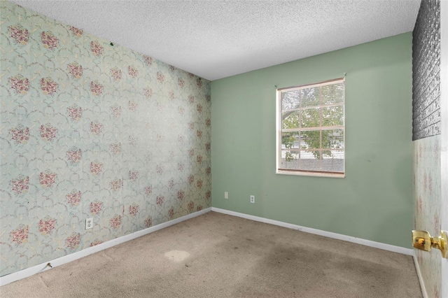 unfurnished room with carpet and a textured ceiling