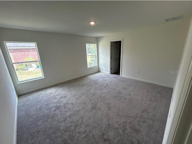 carpeted empty room featuring a wealth of natural light