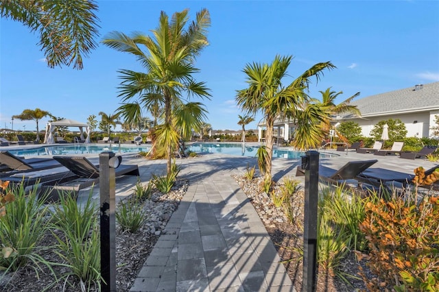 view of pool with a patio