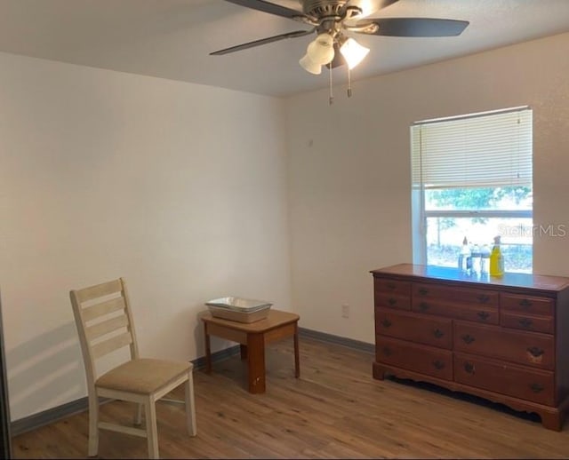 living area featuring ceiling fan and light hardwood / wood-style floors