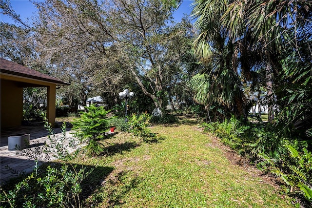 view of yard with a patio area