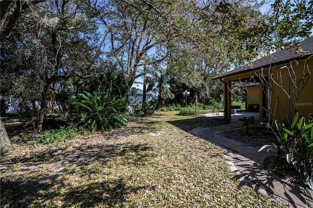 view of yard featuring a patio area