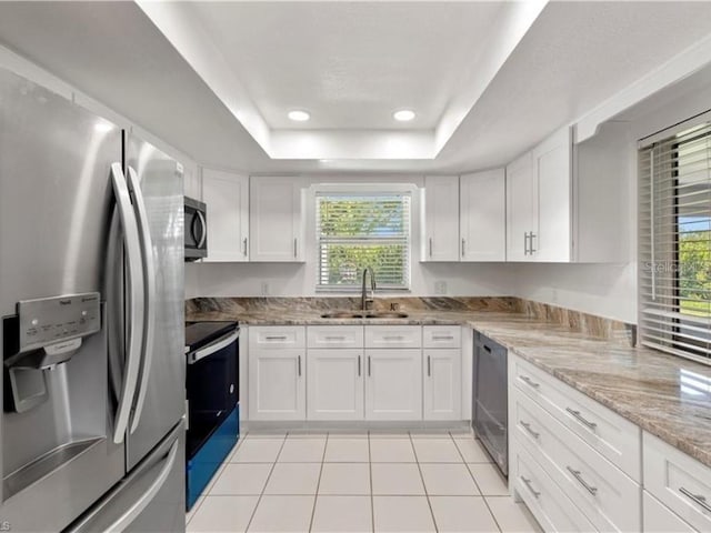 kitchen with sink, a raised ceiling, white cabinetry, stainless steel appliances, and a wealth of natural light