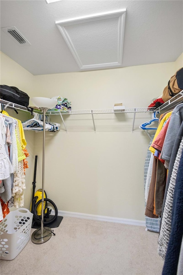 spacious closet featuring carpet floors