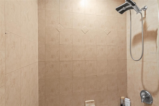 room details with tiled shower