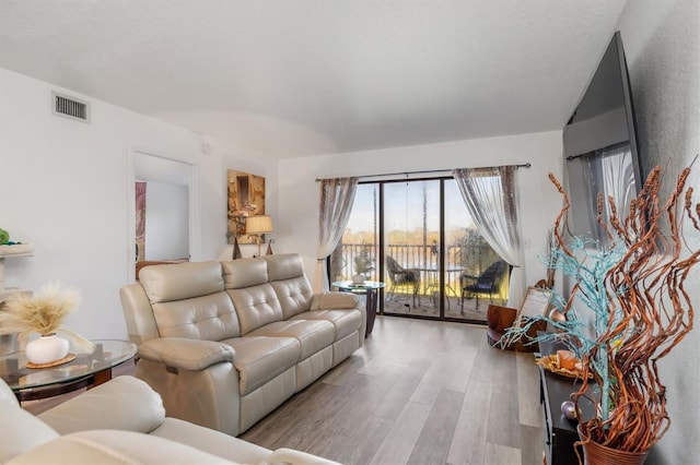 living room with light hardwood / wood-style floors