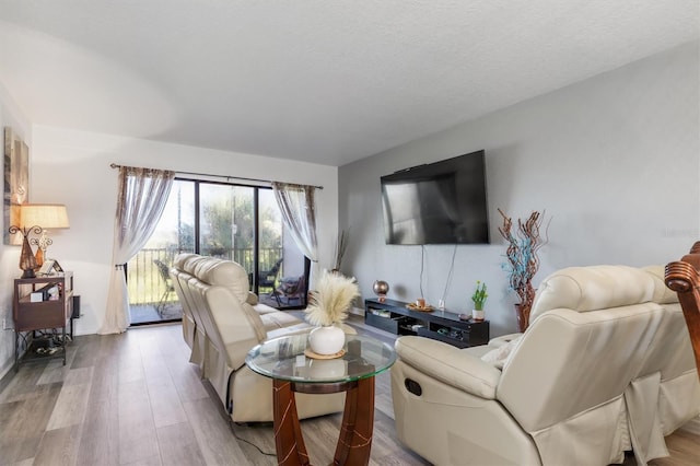 living room with a textured ceiling and light wood-type flooring