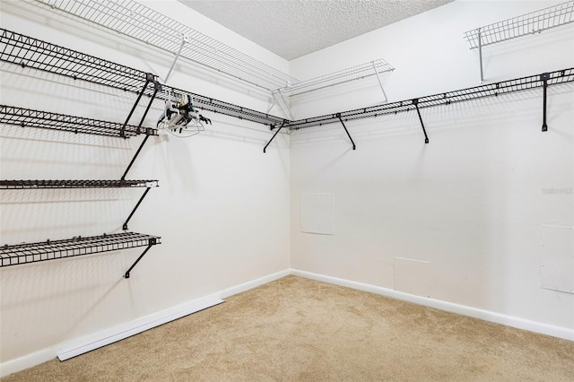 spacious closet featuring carpet floors