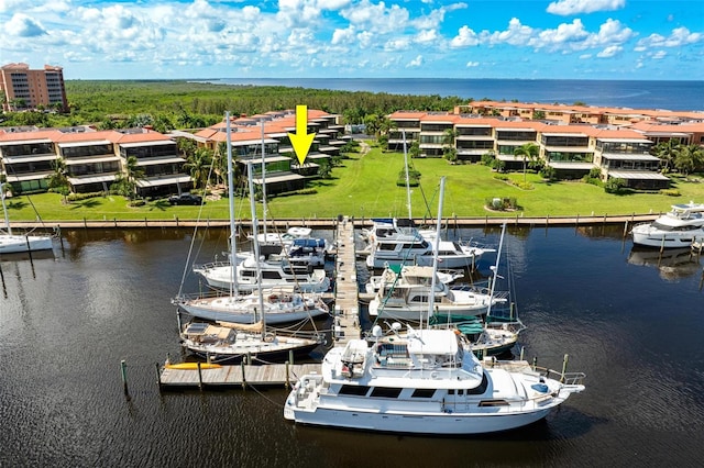 dock area with a water view