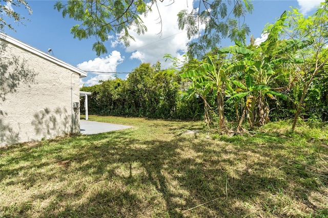 view of yard with a patio