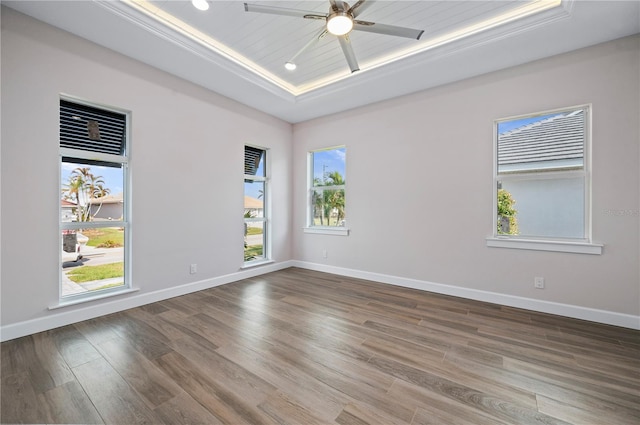 spare room with a healthy amount of sunlight, wood-type flooring, a tray ceiling, and ceiling fan