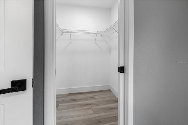 spacious closet with light wood-type flooring