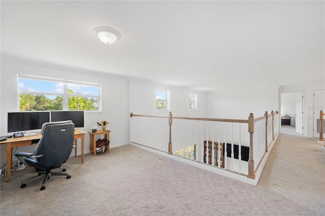 carpeted office with a healthy amount of sunlight