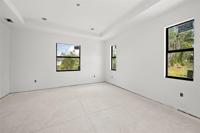 spare room with a raised ceiling